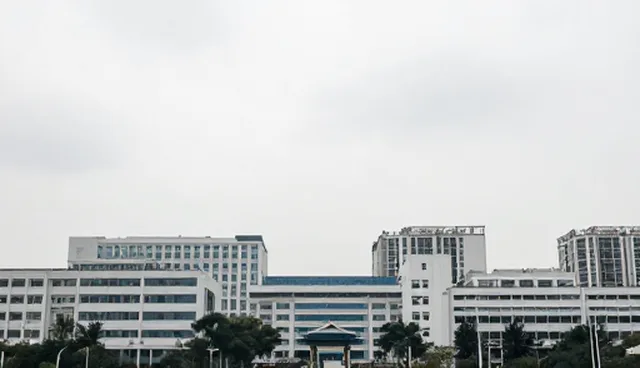 企业名录浏览选型建议:信息精准检索的两种做法对比
